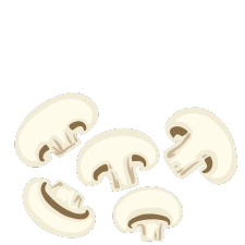 Champignon