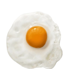 Oeuf